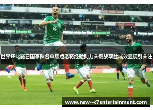 世界杯比赛日国家队名单焦点老将经验助力关键战取胜成效显现引关注