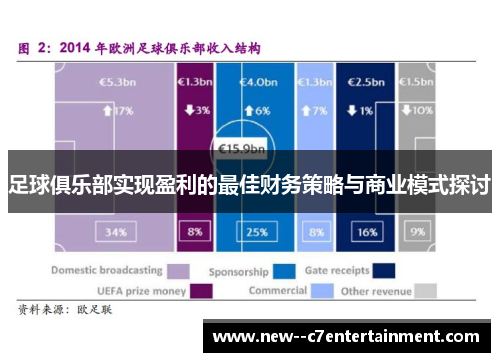 足球俱乐部实现盈利的最佳财务策略与商业模式探讨 足球俱乐部实现盈利的最佳财务策略与商业模式探讨
